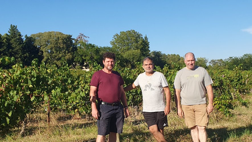 Article Midi Libre