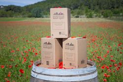 Bag in Box 5L Blanc